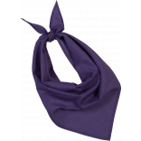 Fiesta - Bandana KP064 - Purple personnalisable - Vue de face