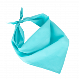 Fiesta - Bandana KP064 - Calypso Blue personnalisable - Vue de face