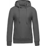 Sweat-shirt homme bio à capuche K482 - Storm Grey
