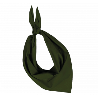 Fiesta - Bandana KP064 - Olive personnalisable - Vue de face