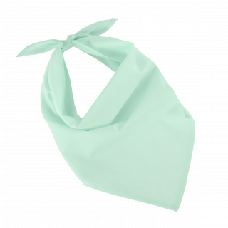 Fiesta - Bandana KP064 - Frost Green personnalisable - Vue de face