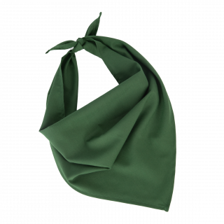 Fiesta - Bandana KP064 - Pasture Green personnalisable - Vue de face