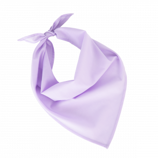 Fiesta - Bandana KP064 - Wisteria Purple personnalisable - Vue de face