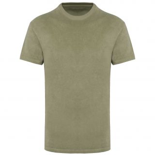 NS311 Almond Green