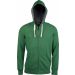 Sweat-shirt homme à capuche zippé Vintage KV2300 - Vintage Green